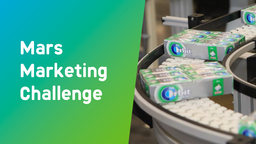 Кейс Mars Marketing Challenge